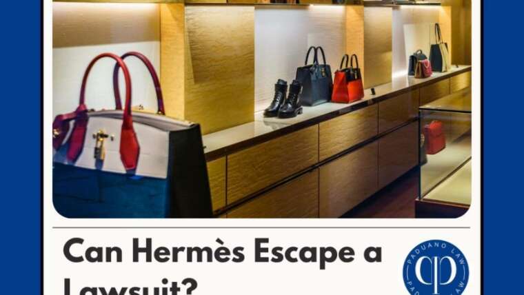 Birkin Battle : Hermès faces legal heat over exclusive handbag practices